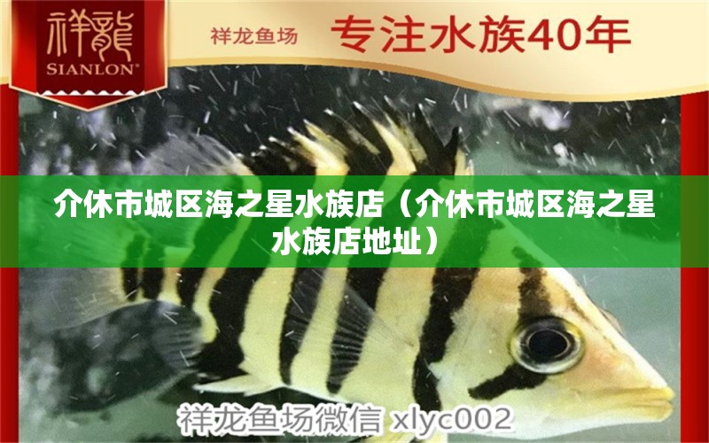 介休市城区海之星水族店（介休市城区海之星水族店地址） 全国水族馆企业名录