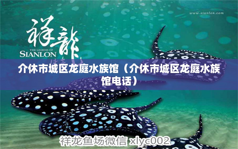 介休市城区龙庭水族馆（介休市城区龙庭水族馆电话）