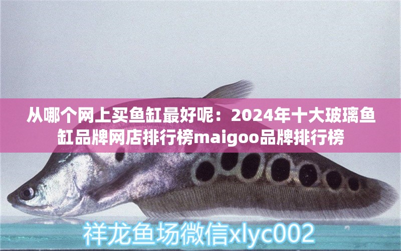 从哪个网上买鱼缸最好呢：2024年十大玻璃鱼缸品牌网店排行榜maigoo品牌排行榜 鱼缸百科 第2张