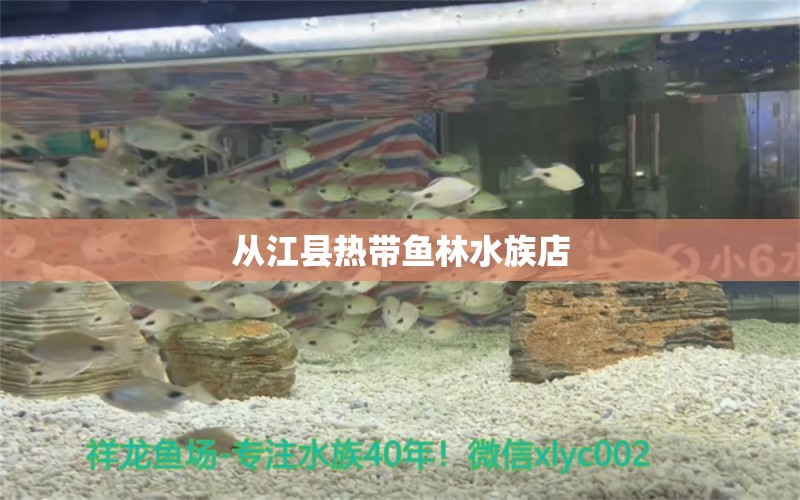 从江县热带鱼林水族店