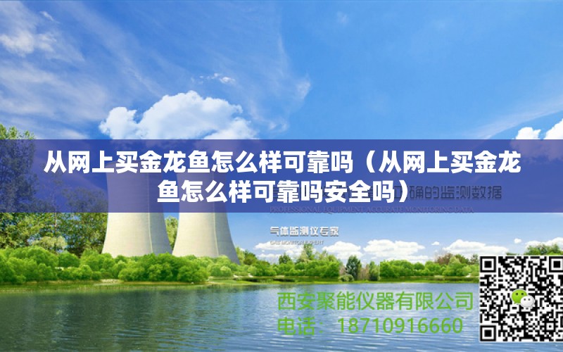 从网上买金龙鱼怎么样可靠吗（从网上买金龙鱼怎么样可靠吗安全吗） 网上购买观赏鱼