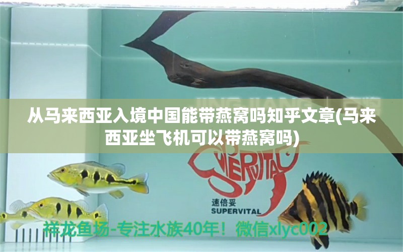 从马来西亚入境中国能带燕窝吗知乎文章(马来西亚坐飞机可以带燕窝吗)