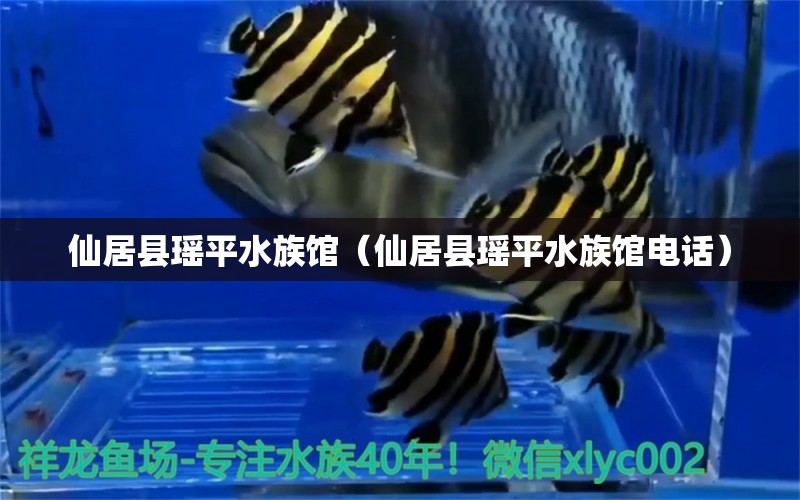 仙居县瑶平水族馆（仙居县瑶平水族馆电话） 全国水族馆企业名录