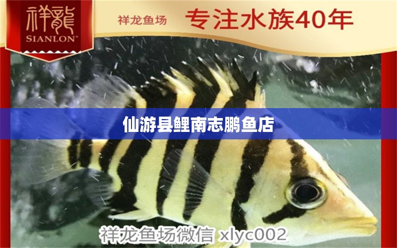 仙游县鲤南志鹏鱼店 全国水族馆企业名录