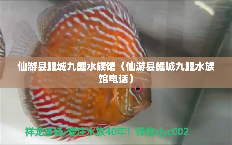 仙游县鲤城九鲤水族馆（仙游县鲤城九鲤水族馆电话）