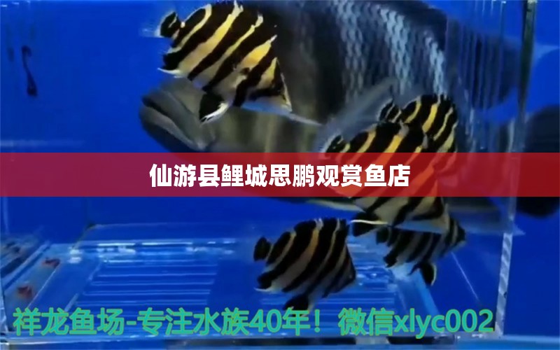 仙游县鲤城思鹏观赏鱼店 全国水族馆企业名录