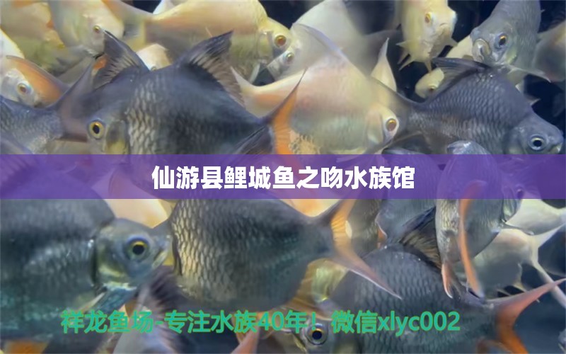 仙游县鲤城鱼之吻水族馆