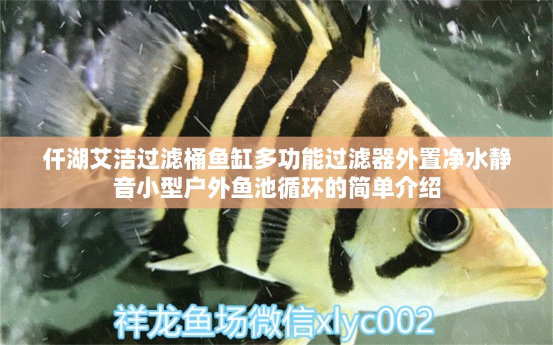 仟湖艾洁过滤桶鱼缸多功能过滤器外置净水静音小型户外鱼池循环的简单介绍