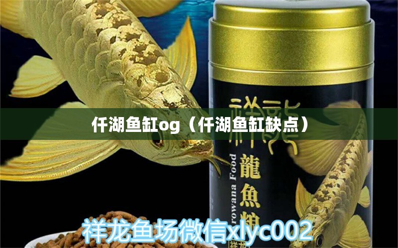 仟湖鱼缸og（仟湖鱼缸缺点）