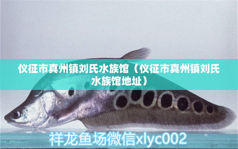 仪征市真州镇刘氏水族馆（仪征市真州镇刘氏水族馆地址）