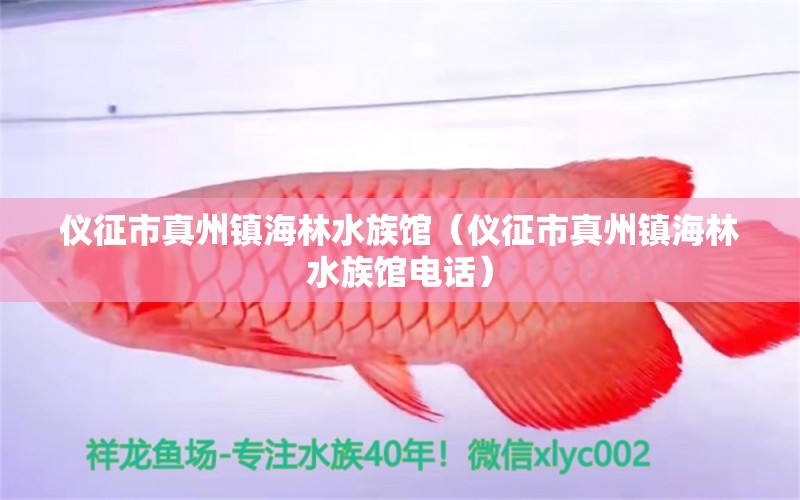 仪征市真州镇海林水族馆（仪征市真州镇海林水族馆电话）