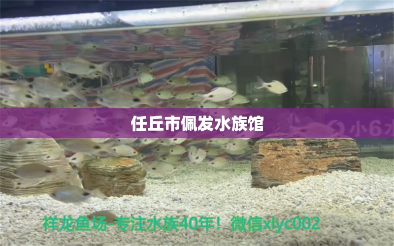 任丘市佩发水族馆