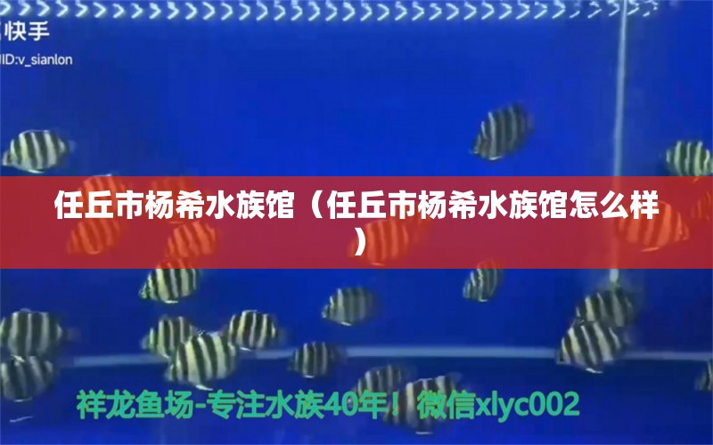 任丘市杨希水族馆（任丘市杨希水族馆怎么样） 全国水族馆企业名录