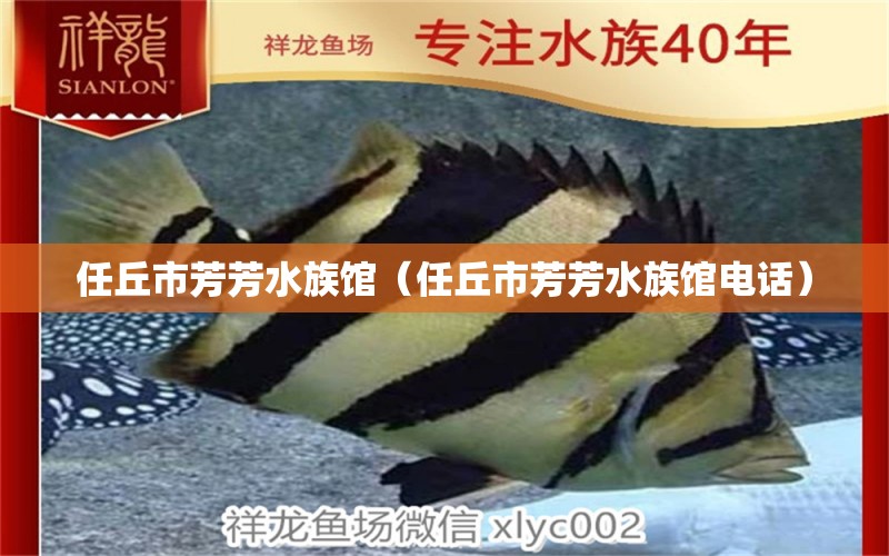 任丘市芳芳水族馆（任丘市芳芳水族馆电话） 全国水族馆企业名录