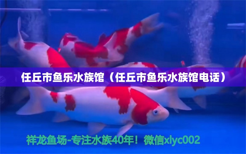 任丘市鱼乐水族馆（任丘市鱼乐水族馆电话）