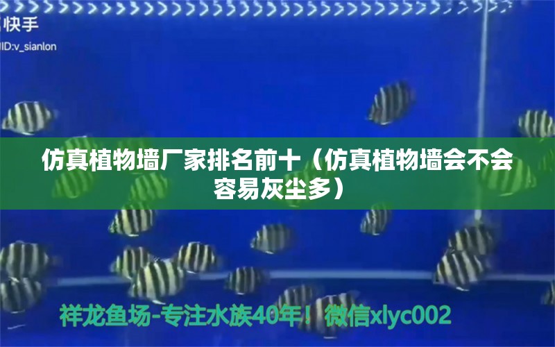 仿真植物墙厂家排名前十（仿真植物墙会不会容易灰尘多） 广州景观设计 第1张