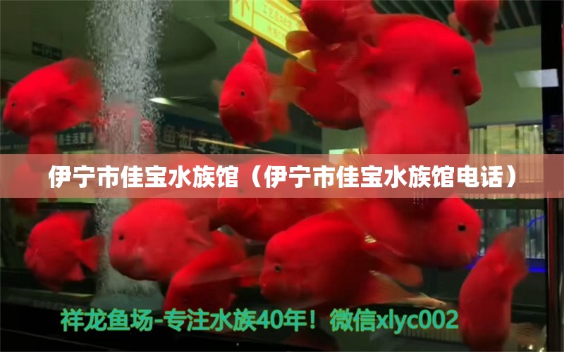 伊宁市佳宝水族馆（伊宁市佳宝水族馆电话） 全国水族馆企业名录