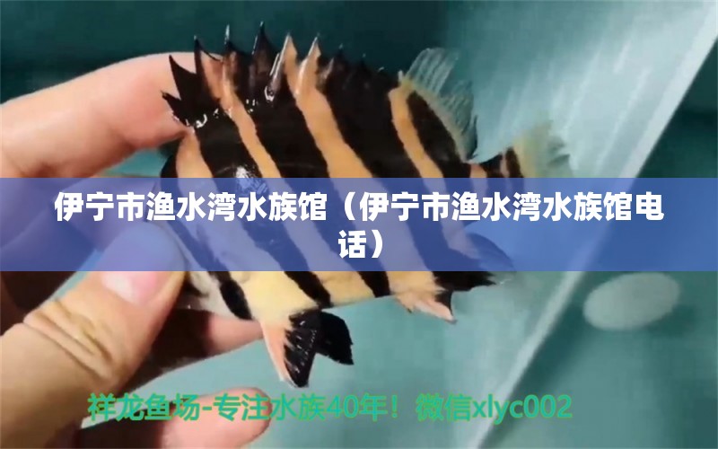 伊宁市渔水湾水族馆（伊宁市渔水湾水族馆电话）