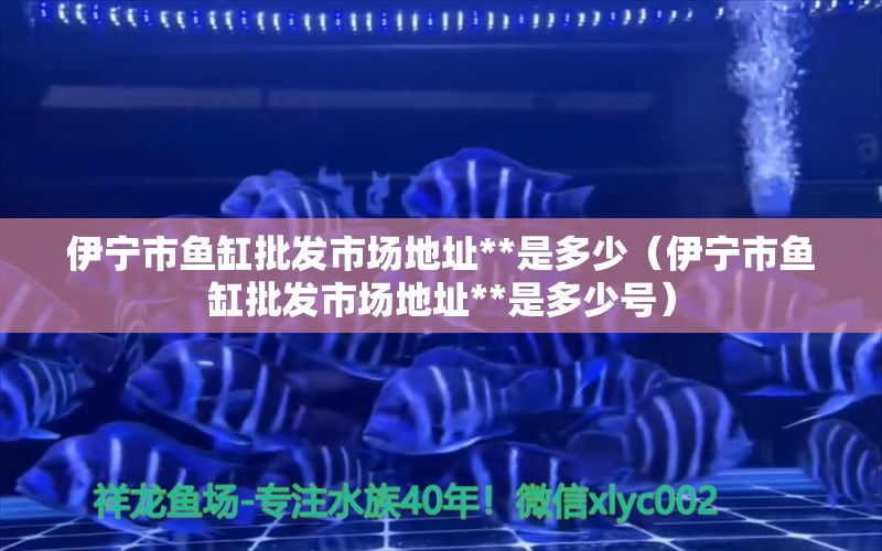 伊宁市鱼缸批发市场地址**是多少（伊宁市鱼缸批发市场地址**是多少号） 祥龙水族医院