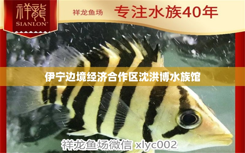 伊宁边境经济合作区沈洪博水族馆 全国水族馆企业名录