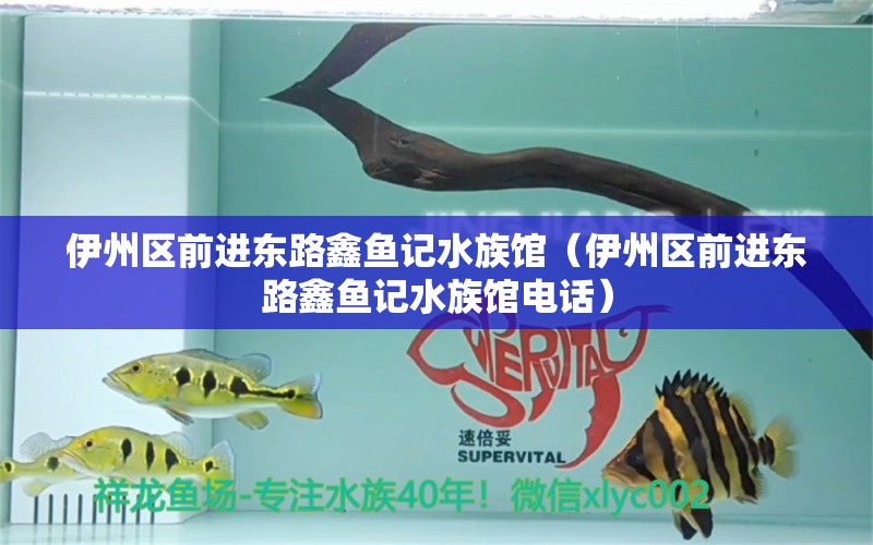 伊州区前进东路鑫鱼记水族馆（伊州区前进东路鑫鱼记水族馆电话） 全国水族馆企业名录