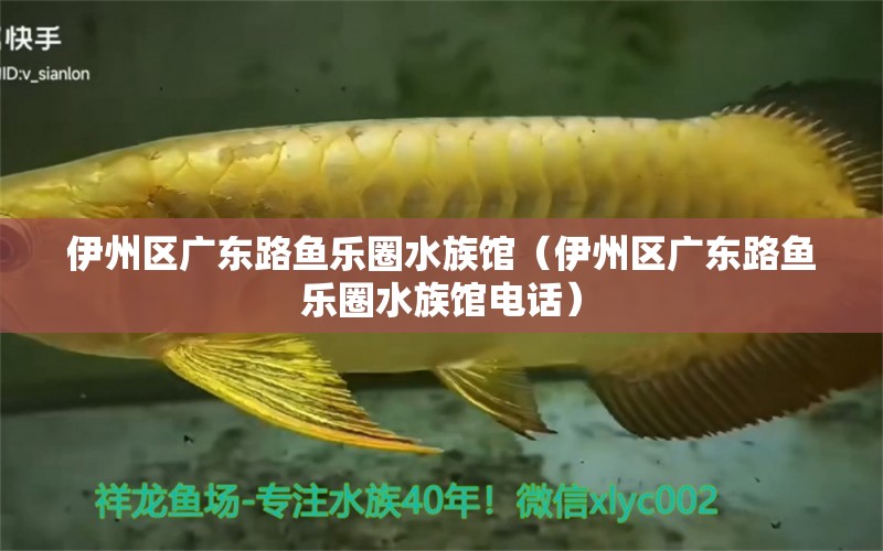 伊州区广东路鱼乐圈水族馆（伊州区广东路鱼乐圈水族馆电话） 全国水族馆企业名录