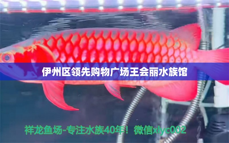 伊州区领先购物广场王会丽水族馆