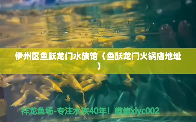 伊州区鱼跃龙门水族馆（鱼跃龙门火锅店地址） 全国水族馆企业名录