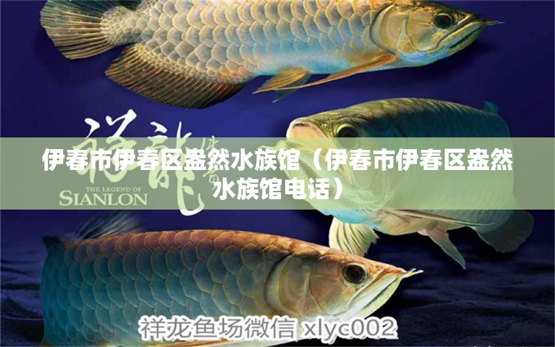 伊春市伊春区盎然水族馆（伊春市伊春区盎然水族馆电话）