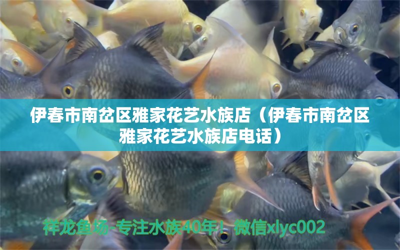 伊春市南岔区雅家花艺水族店（伊春市南岔区雅家花艺水族店电话）