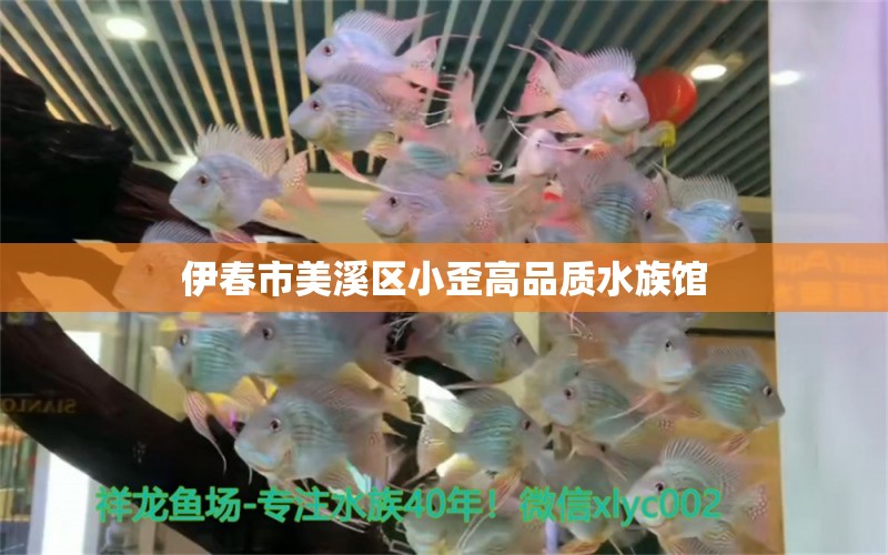 伊春市美溪区小歪高品质水族馆 全国水族馆企业名录