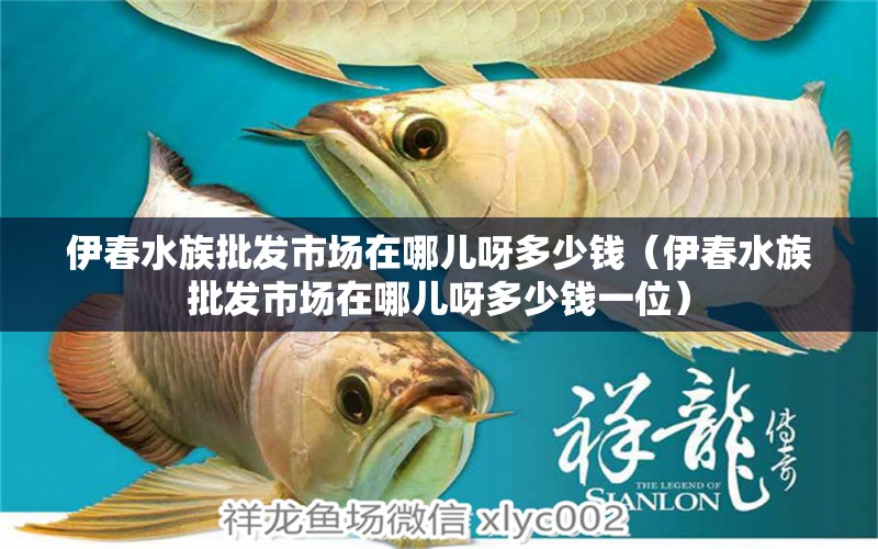 伊春水族批发市场在哪儿呀多少钱（伊春水族批发市场在哪儿呀多少钱一位） 观赏鱼水族批发市场