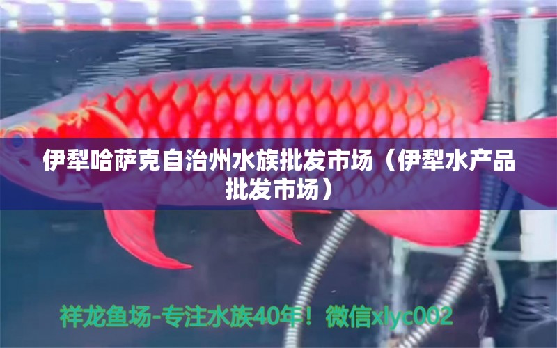 伊犁哈萨克自治州水族批发市场（伊犁水产品批发市场）