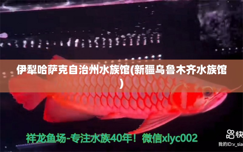 伊犁哈萨克自治州水族馆(新疆乌鲁木齐水族馆)