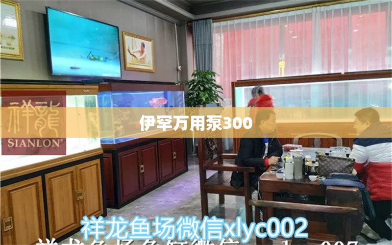 伊罕万用泵300