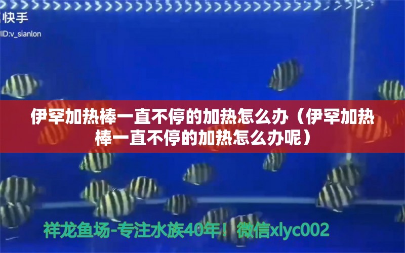 伊罕加热棒一直不停的加热怎么办（伊罕加热棒一直不停的加热怎么办呢） 伊罕水族