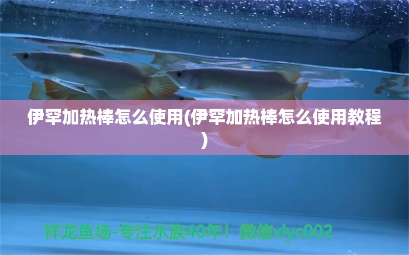 伊罕加热棒怎么使用(伊罕加热棒怎么使用教程) 伊罕水族