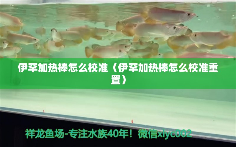 伊罕加热棒怎么校准（伊罕加热棒怎么校准重置） 伊罕水族