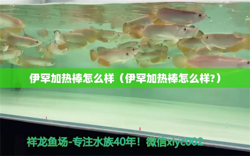 伊罕加热棒怎么样（伊罕加热棒怎么样?） 伊罕水族