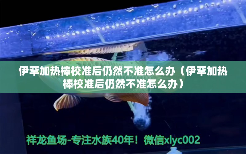 伊罕加热棒校准后仍然不准怎么办（伊罕加热棒校准后仍然不准怎么办）