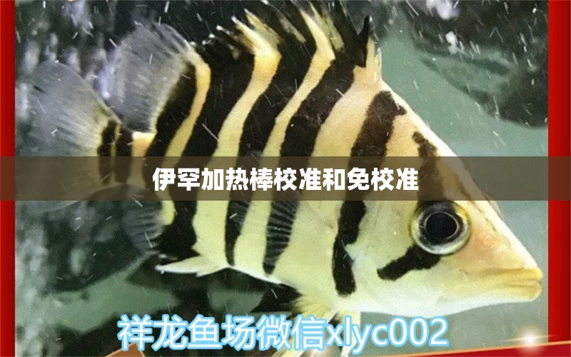 伊罕加热棒校准和免校准