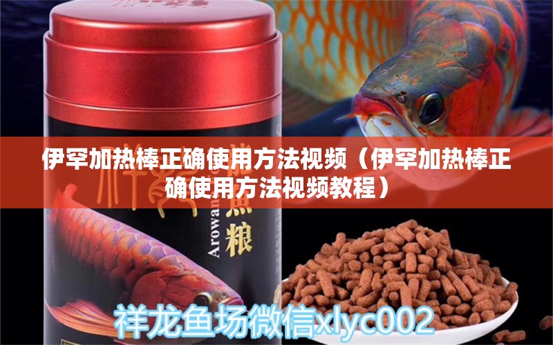 伊罕加热棒正确使用方法视频（伊罕加热棒正确使用方法视频教程） 伊罕水族