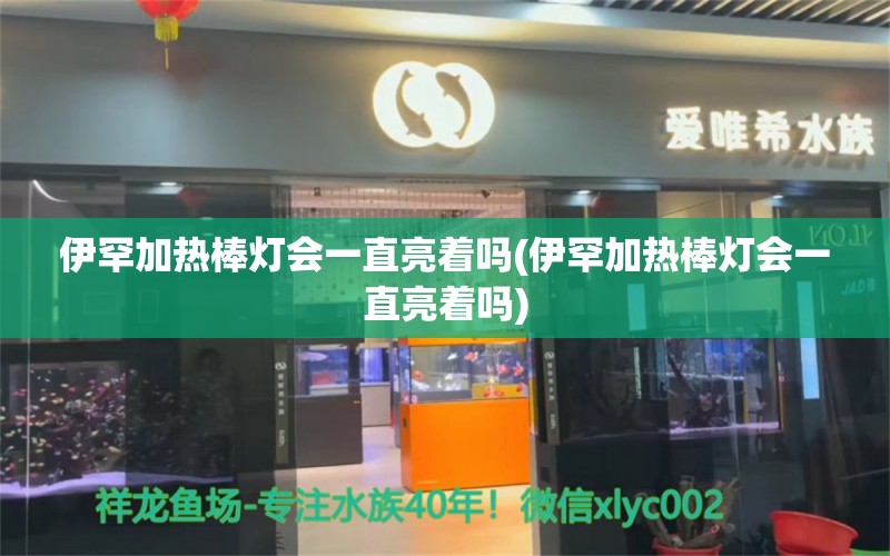 伊罕加热棒灯会一直亮着吗(伊罕加热棒灯会一直亮着吗) 伊罕水族 第1张