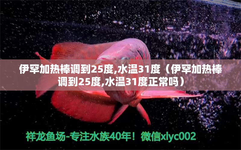 伊罕加热棒调到25度,水温31度（伊罕加热棒调到25度,水温31度正常吗）