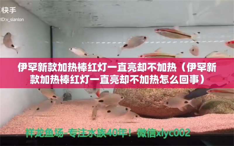 伊罕新款加热棒红灯一直亮却不加热（伊罕新款加热棒红灯一直亮却不加热怎么回事） 伊罕水族