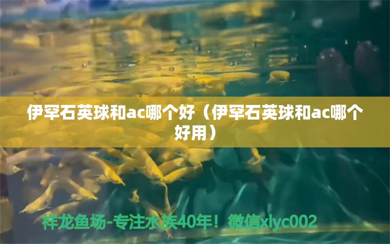 伊罕石英球和ac哪个好（伊罕石英球和ac哪个好用）