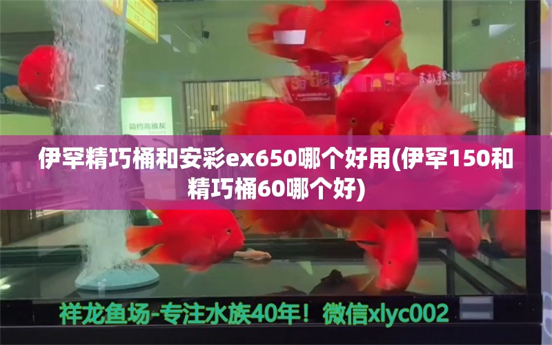 伊罕精巧桶和安彩ex650哪个好用(伊罕150和精巧桶60哪个好)