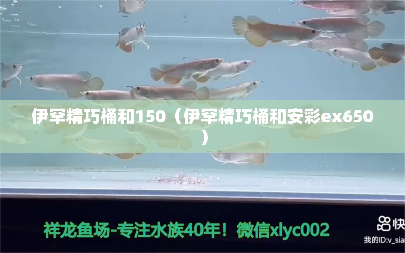 伊罕精巧桶和150（伊罕精巧桶和安彩ex650）