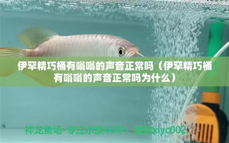 伊罕精巧桶有嗡嗡的声音正常吗（伊罕精巧桶有嗡嗡的声音正常吗为什么）