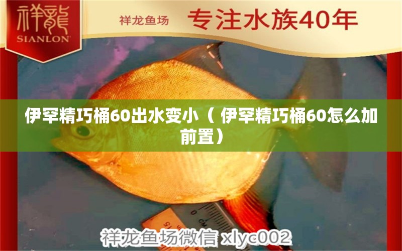 伊罕精巧桶60出水变小（ 伊罕精巧桶60怎么加前置）